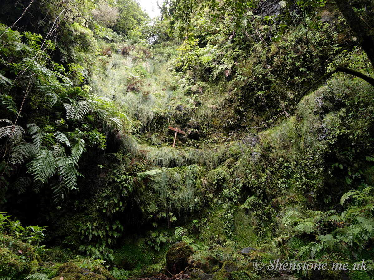 Levada to Caldeirao Verde